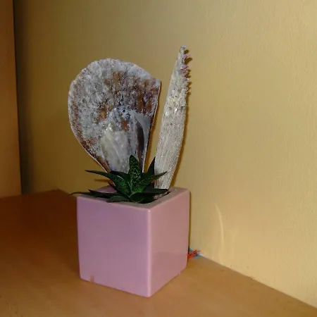 Rezidence Jiskra * Brandýs nad Labem-Stará Boleslav