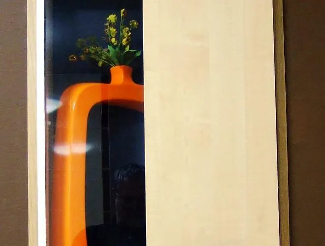 Rezidence Jiskra Guest house