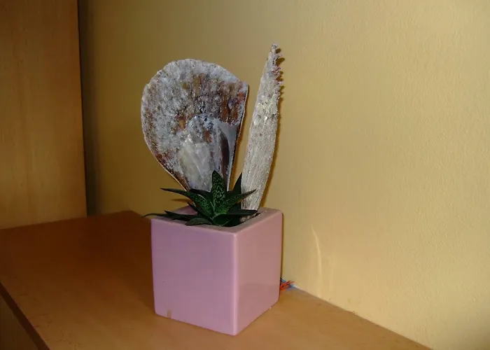 Rezidence Jiskra * Brandys nad Labem-Stara Boleslav